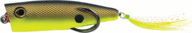 Snagproof Zoo Pop Topwater Bait 2.75In 3/8Oz Chart Shad