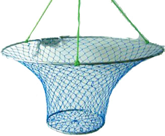 Taitex 2-Ring Big Fish Pier Net 32-15In W/Rope Harness