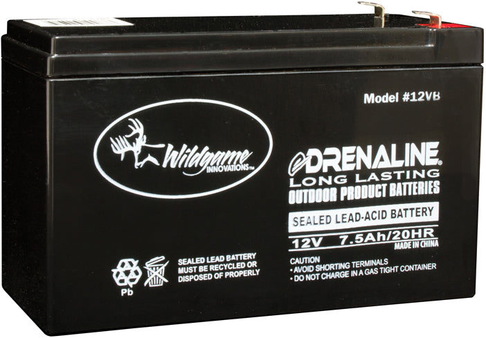 Wildgame Rechargeable Battery 12V W/Post Top