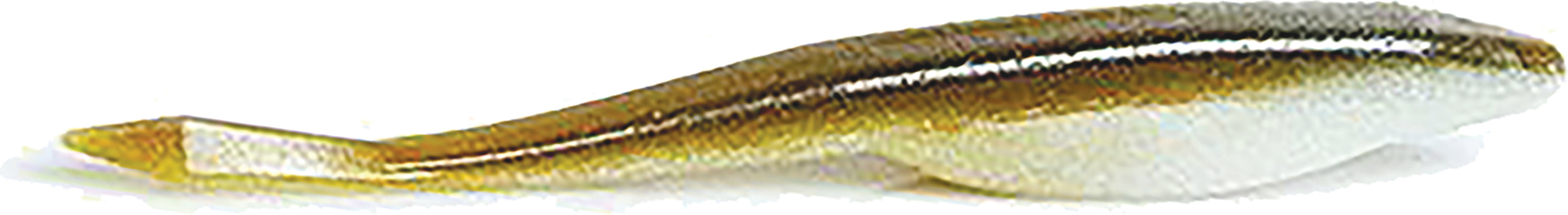Yamamoto D-Shad 5In 7Pk Olive Shad