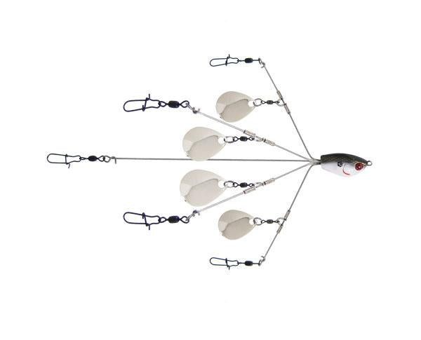 Yum Yumbrella Flash Mob Rig Colorado Tenn Spec