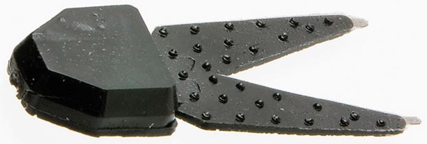 Zoom Salty Chunk 2.5In 5Bg Black