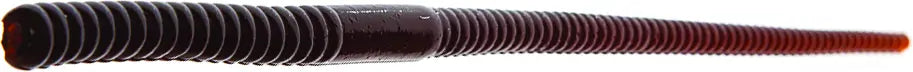 Zoom Mag Shakey Head Worm