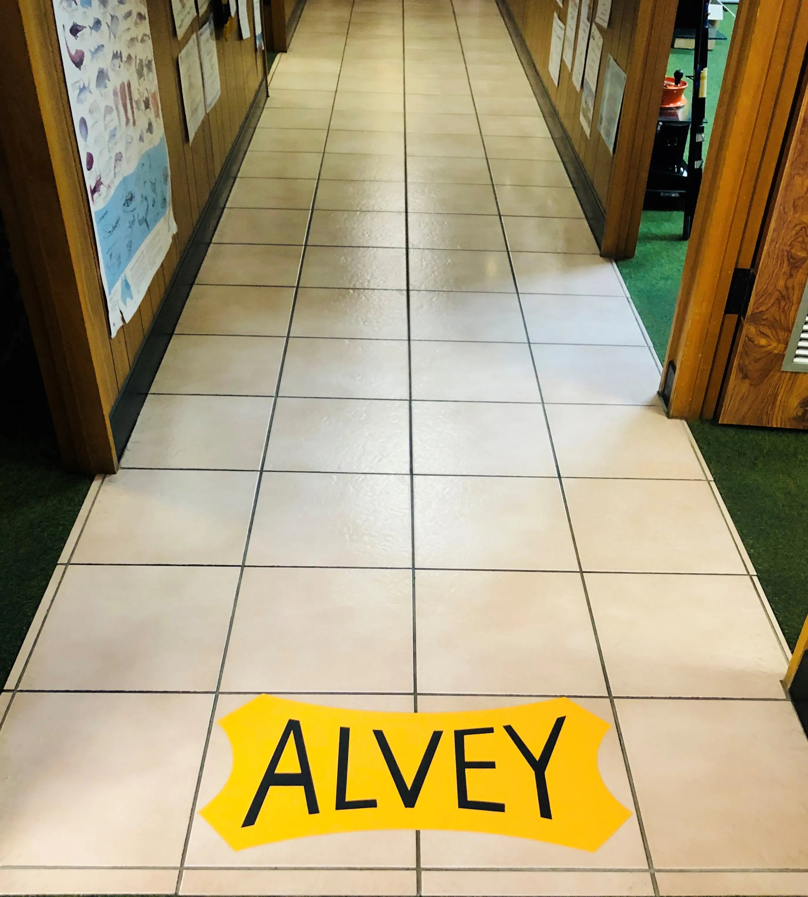 Alvey Floor Decal