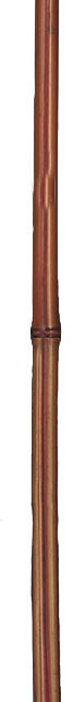 B&M Handled Frog Gig 2Pc 7Ft Handle