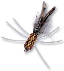 Betts Fly Shimmy Sz8 Yel/Blk/Yel