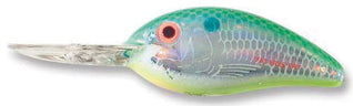 Bomber Fat Free Shad 2.5In 5/8Oz Citrus Shad