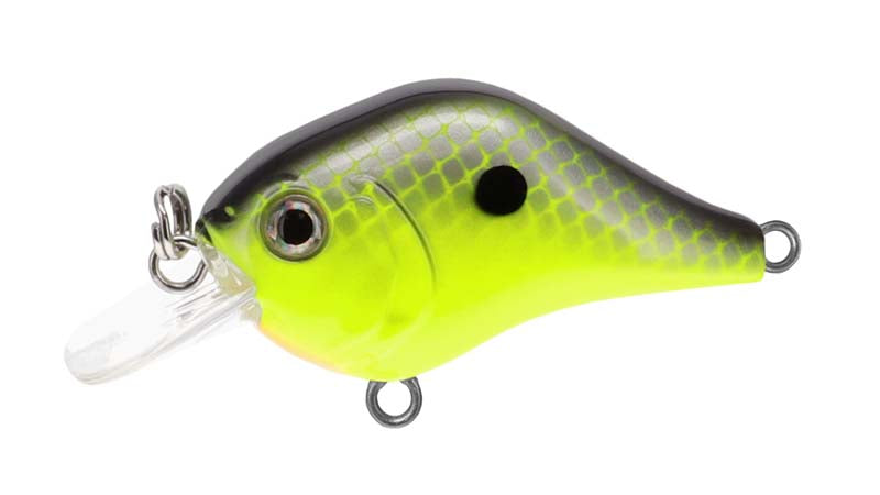 Bill Lewis Gnat Tiny Crankbait