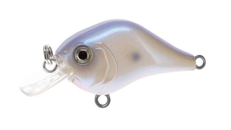Bill Lewis Gnat Tiny Crankbait