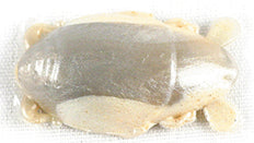 Berkley Gulp Sw Sand Flea 1In 12Bg Natural Flea