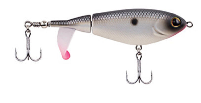 Berkley Choppo Topwater Bait 4.25In 1Oz Mf Shad