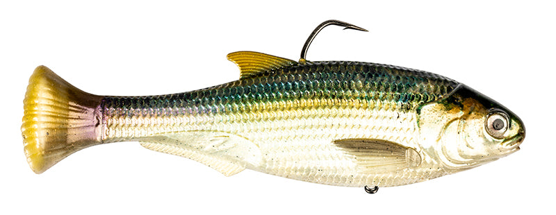 Z-Man Shadtron Lt 4.5In Fast Sink Blueback