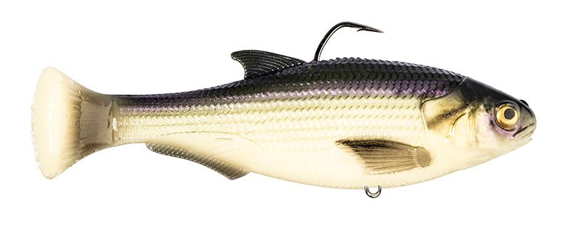 Z-Man Shadtron Lt 6In Fast Sink Fishbone