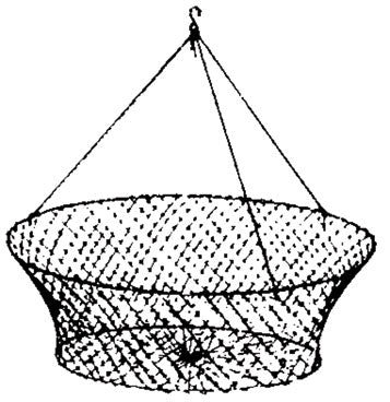 Eagle Claw Crab Net Dbl Ring 11In X 18In 1Per Poly Ba