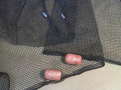 Frabill Minnow Seine Net