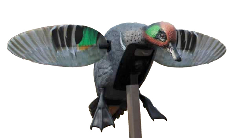 Mojo Green Wing Teal Decoy Elite W/3P