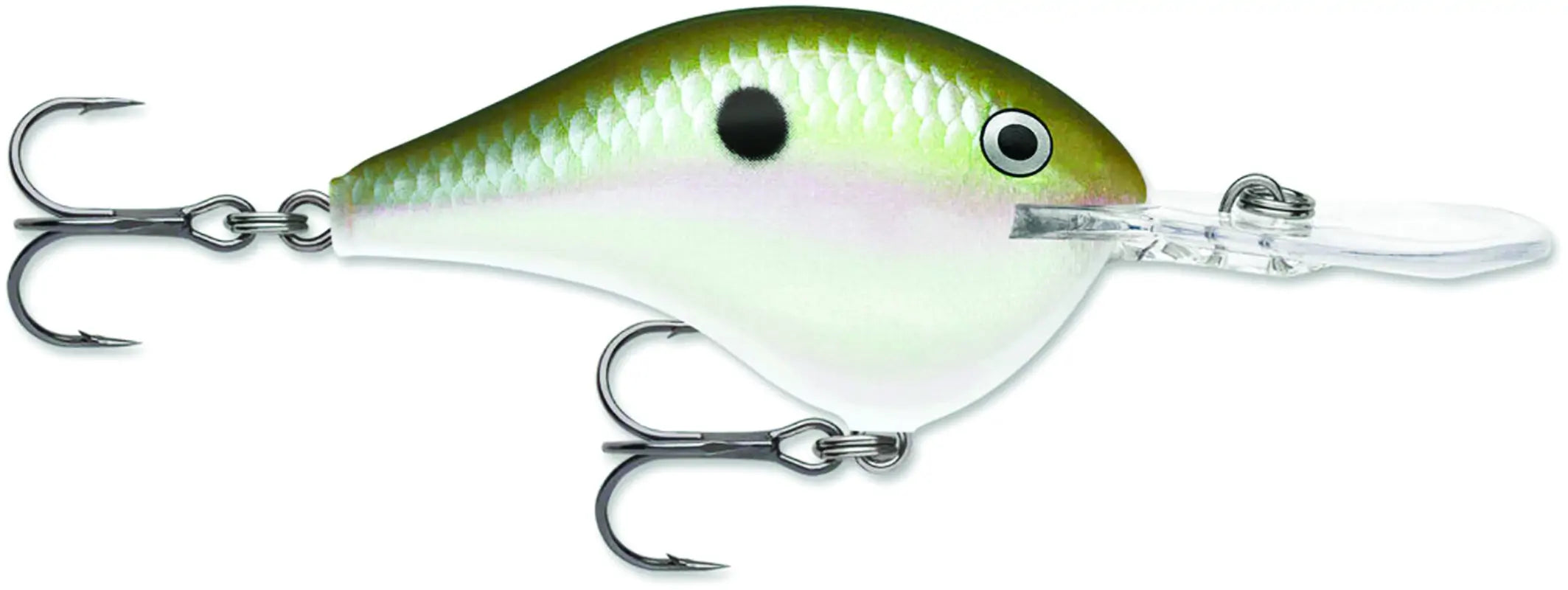 Rapala DT 4 Crankbait
