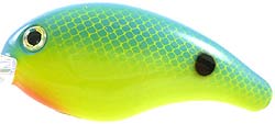 Strike King Pro Series 3Xd Crankbait 2In 7/16Oz Pwd Blue/Chat