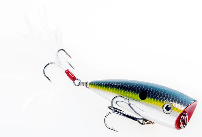 Strike King Kvd Splash Popper 3In 1/2Oz Chr Sexy Shad