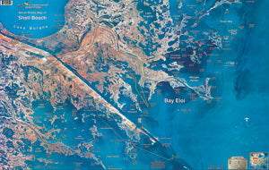 Standard Map Laminated Fishing Map Shell Beach/Hopedale