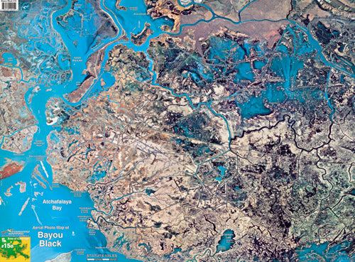 Standard Map Laminated Fishing Map Bayou Black
