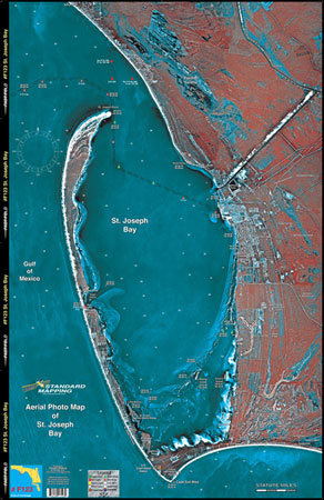 Standard Map Laminated Fishing Map Port St. Joe
