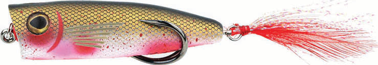 Snagproof Zoo Pop Topwater Bait 2.75In 3/8Oz Bloddy Shad