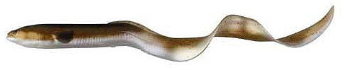Savage 3D Real Eel Pre-Rig 8In 1.33Oz Olive/Brn/Prl