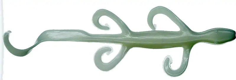 Zoom Original Lizard 6" 8 Bg